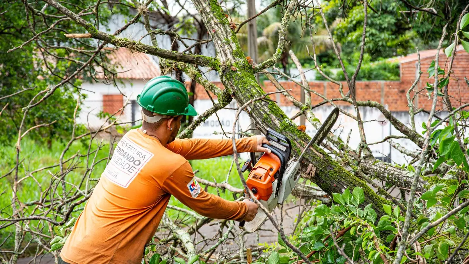 A worker in high-visibility clothing cutting branches with a chainsaw